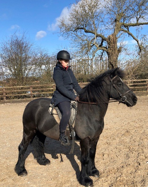Fell Pony ‘Hesket’ Joins Scropton Riding for the Disabled Centre